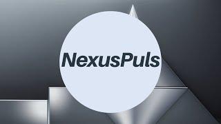 Welcome to NexusPulse  - Your Gateway to Modern Exploration of the World