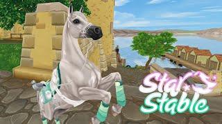 Покупаю нового АРАБА  Star Stable Online