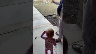 Stella got teepeed!  #stella #momlife #funny #shorts