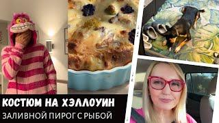 Заливной пирог с рыбой / Костюм на Хэллоуин / Подарок для Кузи / Влог США