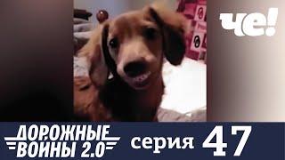 Дорожные войны | Сезон 7 | Выпуск 47