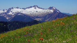 Ridge Rambling (Day Hiking in Washington)