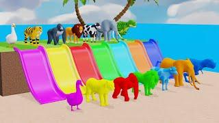 Paint and animals gorilla, Elephant, Duck Cartoon, Lion, Cow Fountain Crossing Minions Games