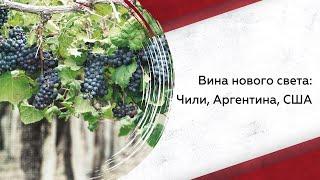 Виноделие Нового Света | Винный гид