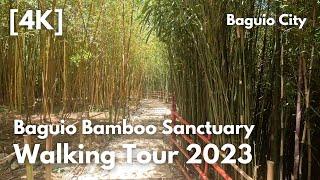 Baguio Bamboo Sanctuary Walking Tour 2023