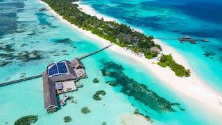 Maldives Relax Music  Bossa Nova Beach  Bossa Nova with Ocean Waves for Relaxation