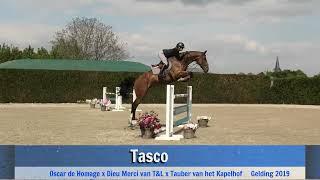 Tasco (jumping)