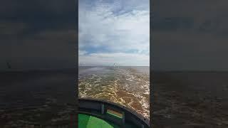 Burung Camar Terbang Ikutin Tugboat