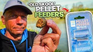 This BLEW My Mind!  — How One Feeder Changed Everything!