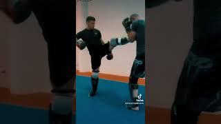 Peter Mettler Martial Arts