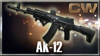 Contract Wars AK-12 Prokill Fails