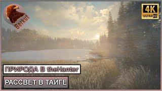 Рассвет в Тайге. Природа в theHunter call of the wild