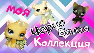  Моя коллекция LPS! / черно-белые петы / SOVA LPS