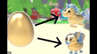 Hatching my Golden Egg!