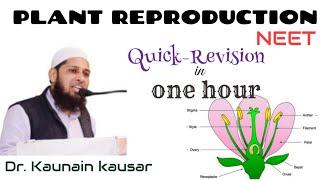 Plant Reproduction | NEET 2020 | Dr. Kaunain Kausar | SARWAR CLASS for IIT & NEET