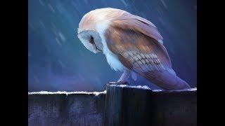 SCP 1049 tribute