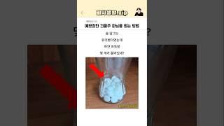 예쁘장한 건물주 따님을 얻는 방법