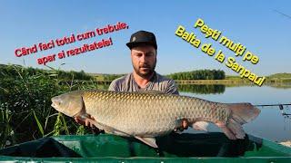 Balta de la Sanpaul- pescuit la crap cu gașca - stand 16 #carp #fishing #run #wlc #bigcarp #big