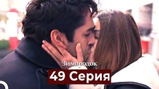 Зимородок 49 Cерия (Русский дубляж)