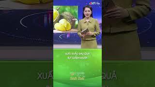 Xuất khẩu rau quả sụt giảm mạnh #shortshgtv | NÔNG NGHIỆP SINH THÁI
