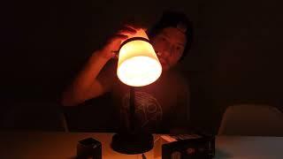 Edison Style Vintage Lighting CLV112 25 Watt 120 V Light Bulb Test See How it Looks