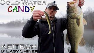 Cold Water Candy!  Winter bass fishing with the Keitech 8" Easy Shiner.