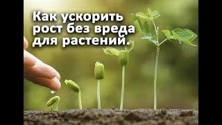 Как ускорить рост без вреда для растений.