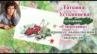 Смородина - процесс выполнения акварели.  Художник Татьяна Устьянцева.