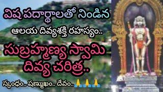 Unveiling Palani Subrahmanya Swamy's Hidden Powers | Palani Subrahmanya Swamy Temple Facts