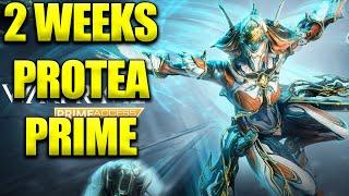 Protea Prime Release Confirmed! Warframe