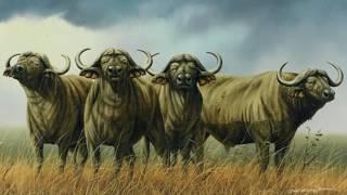Self Portrait: Andrew Bone