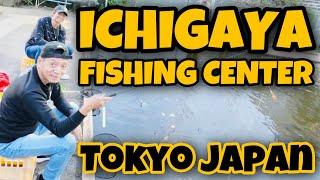 Things to do in Tokyo |  Ichigaya Fishing Center | Tokyo Japan