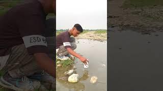 Farming reel #song #dailyshorts #khetibadi #kisan #virulshorts #farming