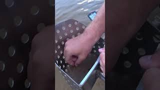 Поиск золота на пляже.Shorts