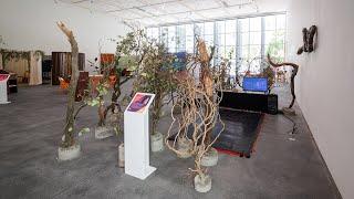 YBCA 10: My-Linh Le's "Anima"
