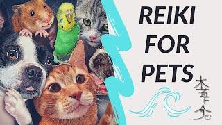 Reiki For Pets - Healing And Raising Pets' Vibration