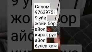 25 мая 2025 г.