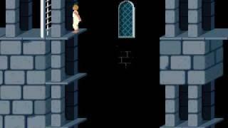 Prince of Persia 1989 Final Level (12/12)- Prince vs. Jaffar