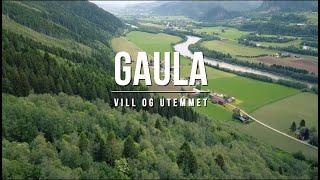 Gaula Intro Salmon Fishing