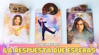 La RESPUESTAS que estabas ESPERANDO - Mensaje de tus GUIAS - Tarot Interactivo  Elige una Carta 