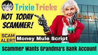 Hear a Money Mule Scam Script | Trixie Tricks Scammers