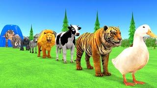 Paint Animals Duck,Tiger,Cow,Lion,Zebra,Gorilla,Elephant,Dinosaur Fountain Crossing Animal Game New