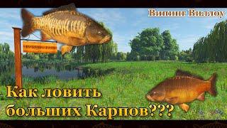 Fishing Planet. Как ловить больших карпов. Big Carp. (Випинг Виллоу / Weeping Willow)