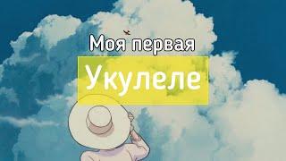 Моя первая укулеле. В жизни надо попробовать все 