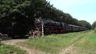 Steam Trains a Lizard an Icelandic pony and pigs at the VSM 03-09 2023