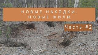 Новые жилы. Новые находки. Часть №2