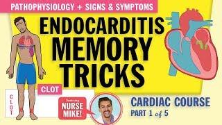 Endocarditis Pathophysiology, signs and symptoms for nursing students   NCLEX review