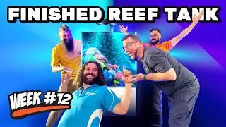 12 Week Reef | Video 12. The Final Episode + Expansion