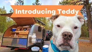 Teardrop Camping With A New Dog