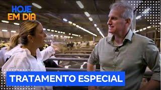 Truque das Coisas: Veja como é o funcionamento de uma fazenda produtora de leite